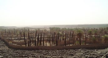 मौला अली (अलैहिस्सलाम) मुक़द्दमए फ़िदक के अहम गवाह